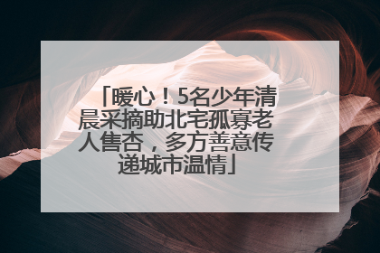 暖心！5名少年清晨采摘助北宅孤寡老人售杏，多方善意传递城市温情