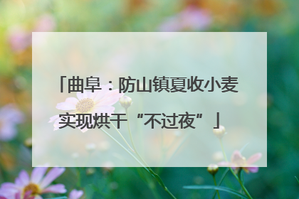曲阜：防山镇夏收小麦实现烘干“不过夜”