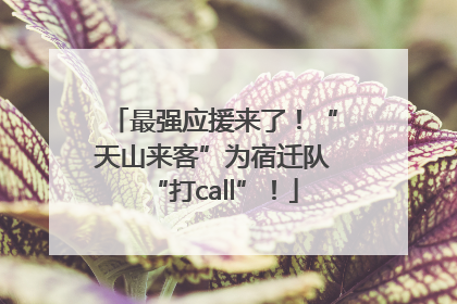 最强应援来了！“天山来客”为宿迁队“打call”！