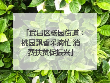 武昌区杨园街道：桃园飘香采摘忙 消费扶贫促振兴