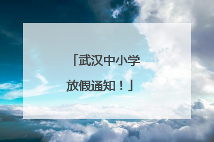 武汉中小学放假通知！