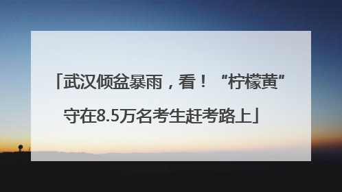 武汉倾盆暴雨，看！“柠檬黄”守在8.5万名考生赶考路上