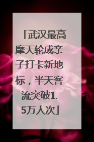 武汉最高摩天轮成亲子打卡新地标，半天客流突破1.5万人次