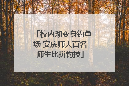 校内湖变身钓鱼场 安庆师大百名师生比拼钓技