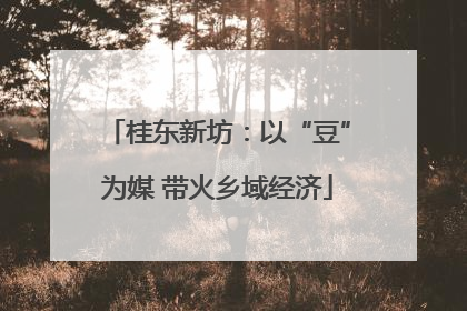 桂东新坊：以“豆”为媒 带火乡域经济