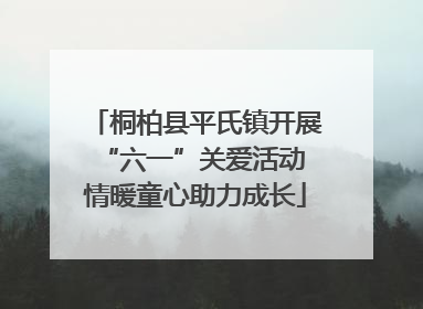 桐柏县平氏镇开展“六一”关爱活动 情暖童心助力成长