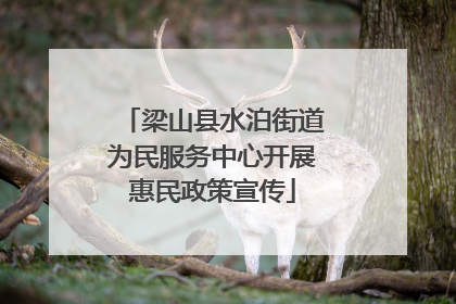 梁山县水泊街道为民服务中心开展惠民政策宣传