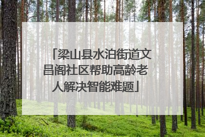 梁山县水泊街道文昌阁社区帮助高龄老人解决智能难题