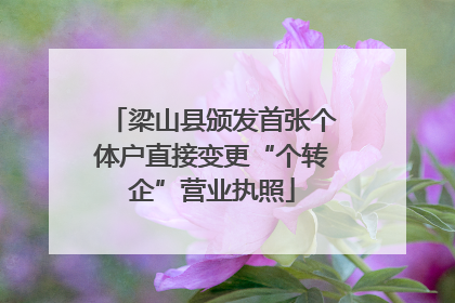 梁山县颁发首张个体户直接变更“个转企”营业执照