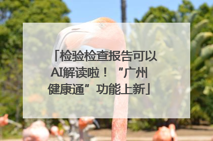 检验检查报告可以AI解读啦！“广州健康通”功能上新