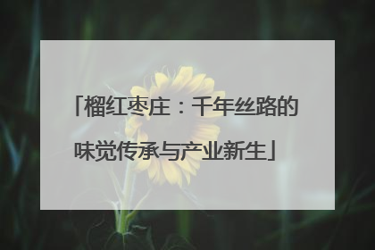 榴红枣庄：千年丝路的味觉传承与产业新生