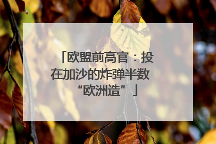 欧盟前高官：投在加沙的炸弹半数“欧洲造”