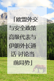 欧盟外交与安全政策高级代表与伊朗外长通话 讨论当前局势