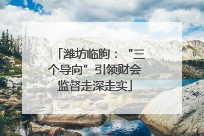 潍坊临朐：“三个导向”引领财会监督走深走实