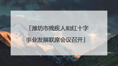 潍坊市残疾人和红十字事业发展联席会议召开