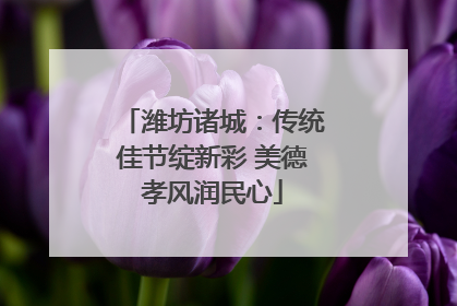 潍坊诸城：传统佳节绽新彩 美德孝风润民心