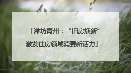 潍坊青州：“旧房焕新”激发住房领域消费新活力