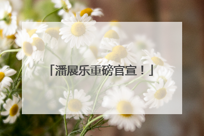 潘展乐重磅官宣！