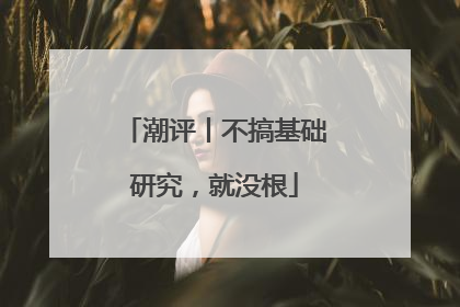 潮评丨不搞基础研究，就没根