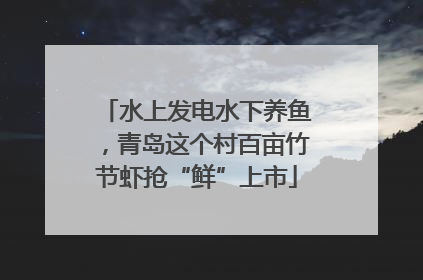 水上发电水下养鱼，青岛这个村百亩竹节虾抢“鲜”上市