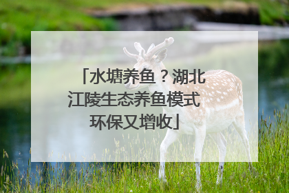 水塘养鱼？湖北江陵生态养鱼模式环保又增收