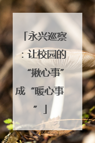 永兴巡察：让校园的“揪心事”成“暖心事”
