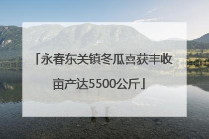 永春东关镇冬瓜喜获丰收 亩产达5500公斤