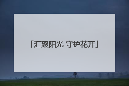 汇聚阳光 守护花开