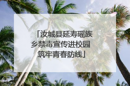 汝城县延寿瑶族乡禁毒宣传进校园 筑牢青春防线