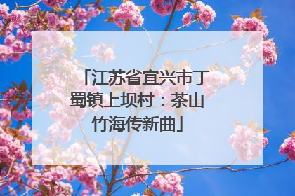 江苏省宜兴市丁蜀镇上坝村：茶山竹海传新曲