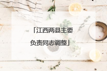 江西两县主要负责同志调整