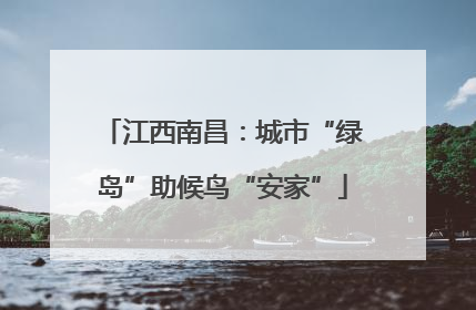 江西南昌：城市“绿岛”助候鸟“安家”