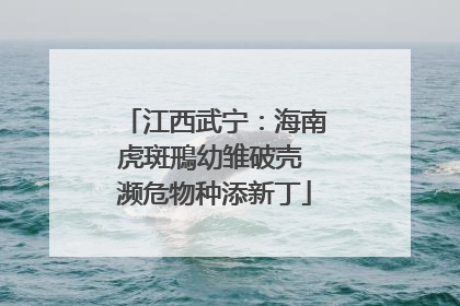 江西武宁：海南虎斑鳽幼雏破壳 濒危物种添新丁