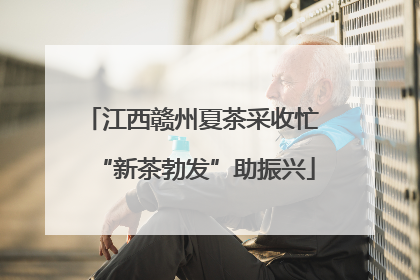 江西赣州夏茶采收忙 “新茶勃发”助振兴