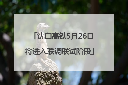 沈白高铁5月26日将进入联调联试阶段