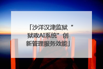 沙洋汉津监狱“狱政AI系统”创新管理服务效能