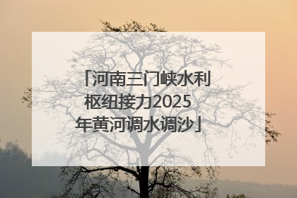 河南三门峡水利枢纽接力2025年黄河调水调沙