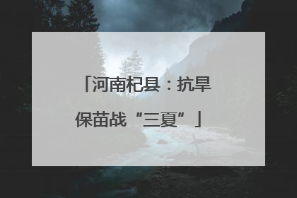 河南杞县：抗旱保苗战“三夏”