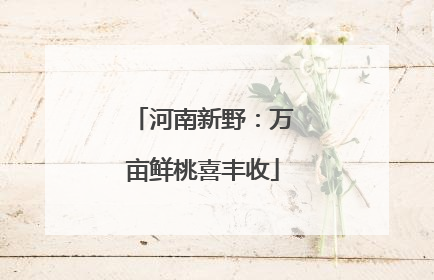 河南新野：万亩鲜桃喜丰收