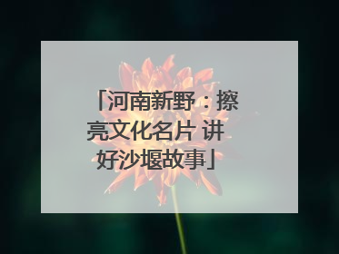 河南新野：擦亮文化名片 讲好沙堰故事