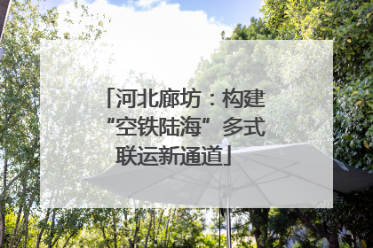 河北廊坊：构建“空铁陆海”多式联运新通道
