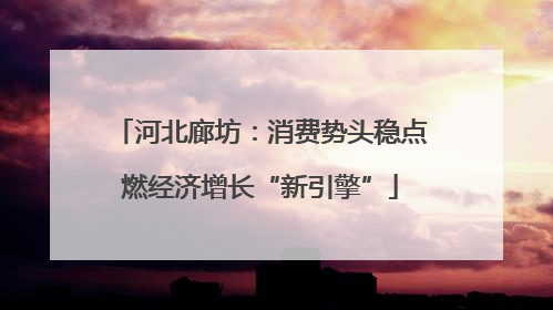 河北廊坊：消费势头稳点燃经济增长“新引擎”