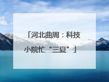 河北曲周：科技小院忙“三夏”