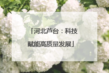 河北芦台：科技赋能高质量发展
