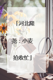河北隆尧：小麦抢收忙