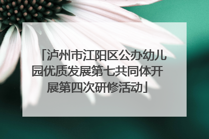 泸州市江阳区公办幼儿园优质发展第七共同体开展第四次研修活动