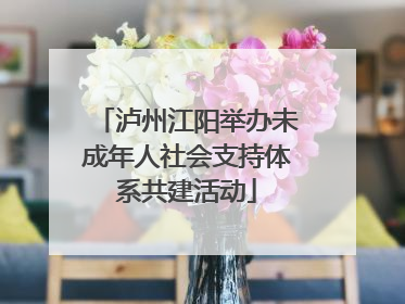 泸州江阳举办未成年人社会支持体系共建活动