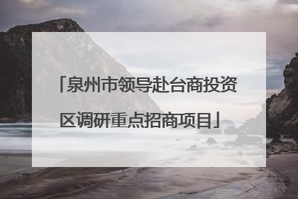 泉州市领导赴台商投资区调研重点招商项目