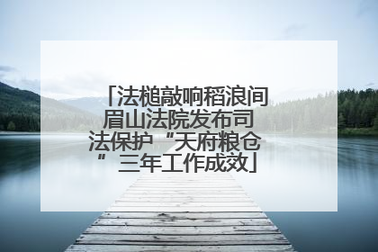法槌敲响稻浪间 眉山法院发布司法保护“天府粮仓”三年工作成效
