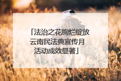 法治之花绚烂绽放 云南民法典宣传月活动成效显著